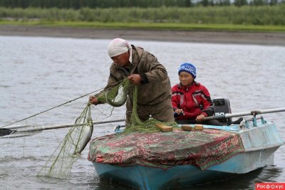 Рыбалка в Якутии: туры