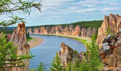 Власти Якутии будут контролировать лесозаготовительные работы в Алданском районе
