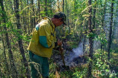 Лесной пожар в Ленском районе Якутии тушат 10 сотрудников парашютно-десантной службы