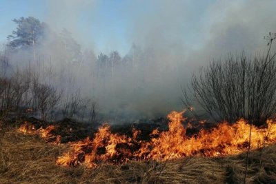 Минэкологии Якутии: В Чурапчинском улусе тушат лесной пожар