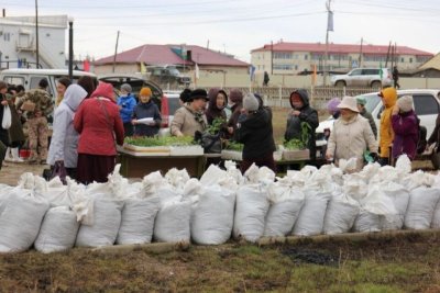 В Чурапчинском улусе ожидается более 43 млн рублей доходов населения по поддержке семейной экономики / ЯСИА  Чурапчинский Республика Саха (Якутия)