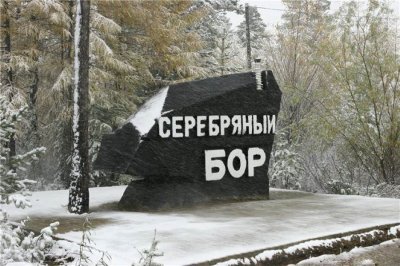 "Удивительное бессилие": глава Якутии раскритиковал власти Нерюнгринского района