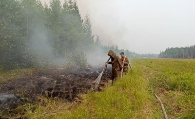 Лесной пожар в Олекминском районе Якутии локализовали с трех сторон
