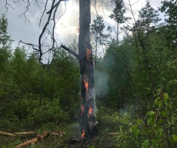 В Амгинском районе предотвратили лесной пожар, спровоцированный ударом молнии