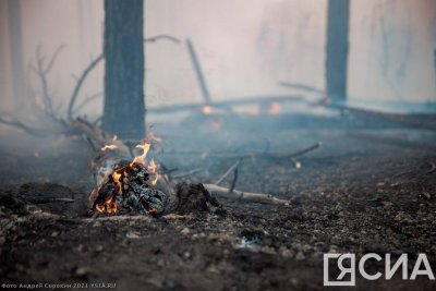 За сутки в Якутии ликвидировали 21 лесной пожар