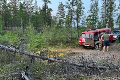 В окрестностях Якутска обнаружено три лесных пожара