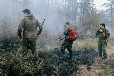 Наибольшее количество лесных пожаров зафиксировано в трех районах Якутии