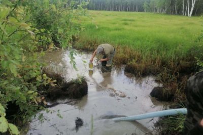 Смыв нефтепродуктов произошел со стоянки спецтехники в результате дождей в Сунтарском районе