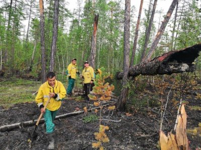 7 лесных пожаров ликвидировано в Якутии за прошедшие сутки