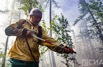 За сутки в Якутии обнаружено 17 лесных пожаров