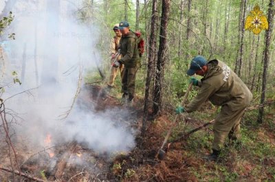 Идет тушение лесного пожара в Чуонинском наслеге