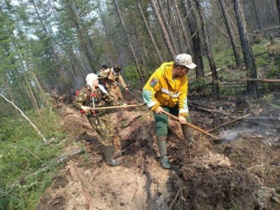 В Сунтарском районе Якутии вблизи села Нахара действует лесной пожар