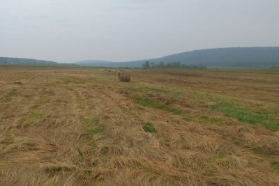В Якутии работают мобильные бригады по заготовке сена