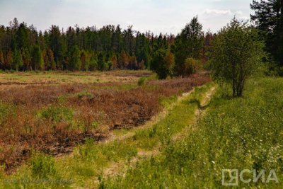 Лесные пожары действуют в двух районах Якутии /    Республика Саха (Якутия)