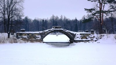 Горбатый мост (на Длинном острове) /  / Ленинградская область