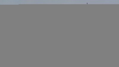 Памятник архитектуры деревянного зодчества XIX в., Церковь Живоносного источника Божией матери /  / Республика Мордовия