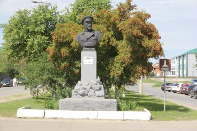 Памятник герою гражданской войны Н.Д.Томину /  / Курганская область