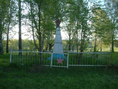 Памятник на братской могиле погибших борцов гражданской войны /  / Новосибирская область