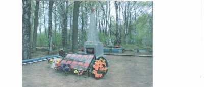 Братская могила 231 воина Советской Армии, погибших в 1941-1943 гг. в боях с немецко-фашистскими захватчиками /  / Смоленская область