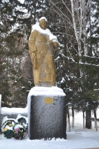 Монумент воину-освободителю, посвященный землякам, погибшим в годы Великой Отечественной войны 1941-1945 гг. /  / Омская область
