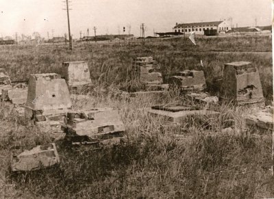 Братская могила ковровских рабочих, расстрелянных жандармами и казаками в 1905 г. /  / Московская область