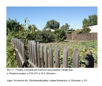 Ограда с воротами и калиткой /  / Ростовская область