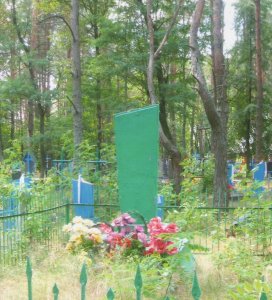 Братская могила 13 советских воинов и партизан, погибших в 1943 г. в боях с немецко-фашистскими захватчиками /  / Брянская область