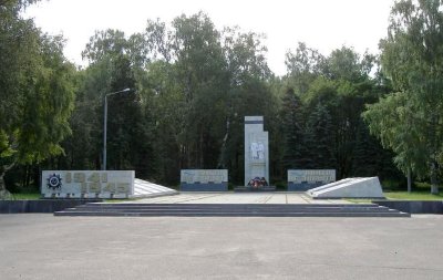 Братские могилы на воинском кладбище и могила Долматова Д.И. /  / Костромская область