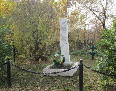 Памятник партизанам, погибшим во время Гражданской войны /  / Новосибирская область