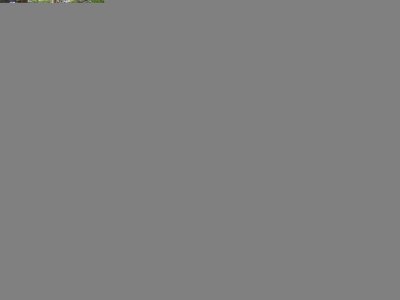 Братская могила борцов, погибших за установление Советской власти на Обь-Иртышском Севере /  / Ханты-Мансийский автономный округ — Югра