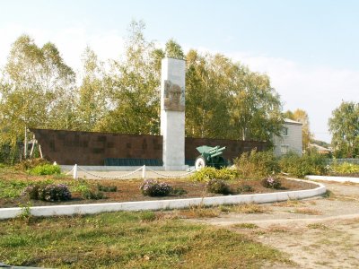 Братская могила погибших воинов в период гражданской войны /  / Саратовская область