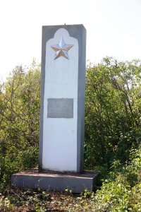 Братская могила 5 троицких большевиков, зарубленных белоказаками 3 августа 1918 г. /  / Оренбургская область