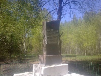 Братская могила 144 мирных жителей, расстрелянных в 1943 году немецко-фашистскими захватчиками за связь с партизанами /  / Брянская область