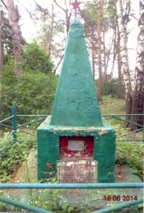 Братская могила 11 красногвардейцев, погибших в 1918 г. в бою с немецкими оккупантами и партизана, погибшего в 1941 г. в бою с немецко--фашистскими захватчиками /  / Брянская область