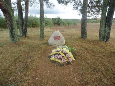 Братская могила 89 советских граждан, казненных гитлеровцами в июле 1943 г. Установлен обелиск /  / Смоленская область