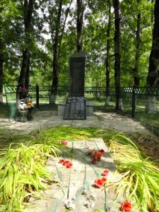 Братская могила 30 партизан, погибших в годы гражданской войны /  / Краснодарский край