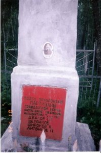 Братская могила 4-х героев гражданской войны, расстрелянных японскими интервентами / Мазановский / Амурская область