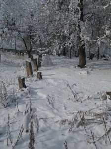 Кладбище "Асладин никъар" /  / Республика Дагестан