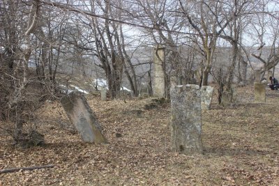 Священный лес-кладбище "Эмузга-пиллер" /  / Республика Дагестан