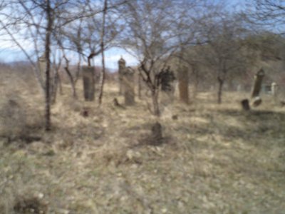 Кладбище "Старое" /  / Республика Дагестан