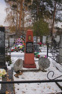 Могила героя гражданской войны Г.Я. Дунаева /  / Челябинская область