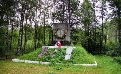 Братская могила советских воинов, в которой похоронен Герой Советского Союза Самойлов И.М. /  / Ленинградская область