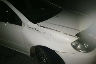 В Якутии водитель сбил женщину с собакой