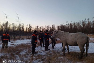 Провалившуюся под лед лошадь спасли в Верхоянском районе /   Верхоянский 