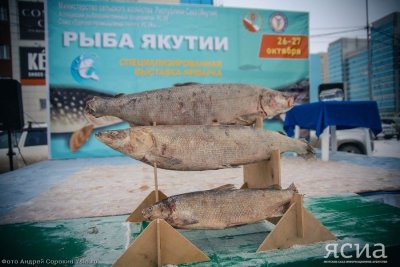 Ярмарка «Рыба Якутии» состоится в выходные в Якутске