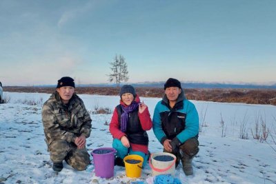 Фотофакт: подснежную голубику собирают в Момском районе Якутии