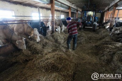 За пять лет число сельхозпроизводителей в России сократилось на 14%
