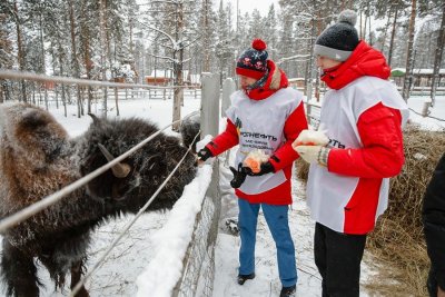 «Таас-Юрях Нефтегазодобыча» поможет бизонам в Якутии