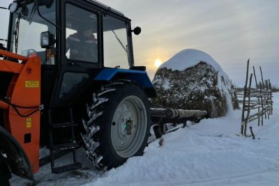 Хангаласский улус — один из лидеров по производству сельхозпродукции в Якутии