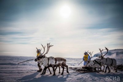 Соревнования по арктическим компетенциям пройдут на чемпионате по традиционному оленеводству